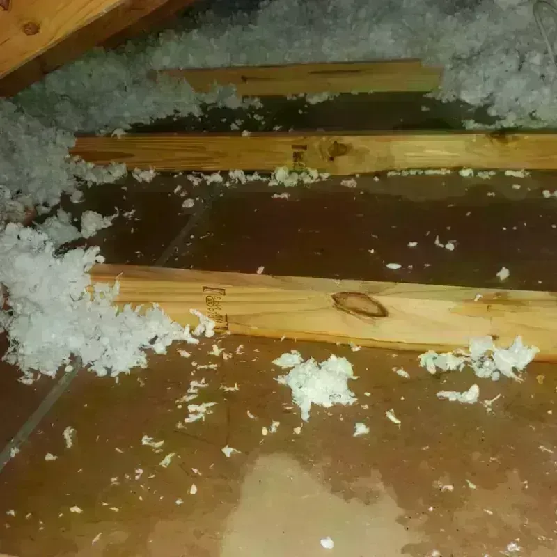 Attic Water Damage in Mitchell County, IA