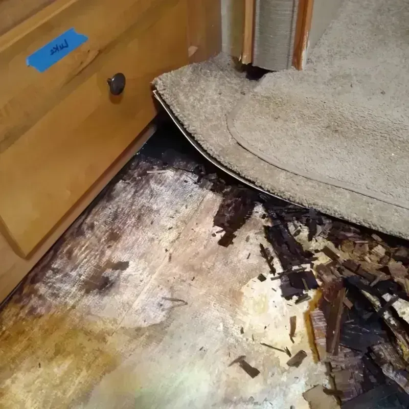 Wood Floor Water Damage in Mitchell County, IA